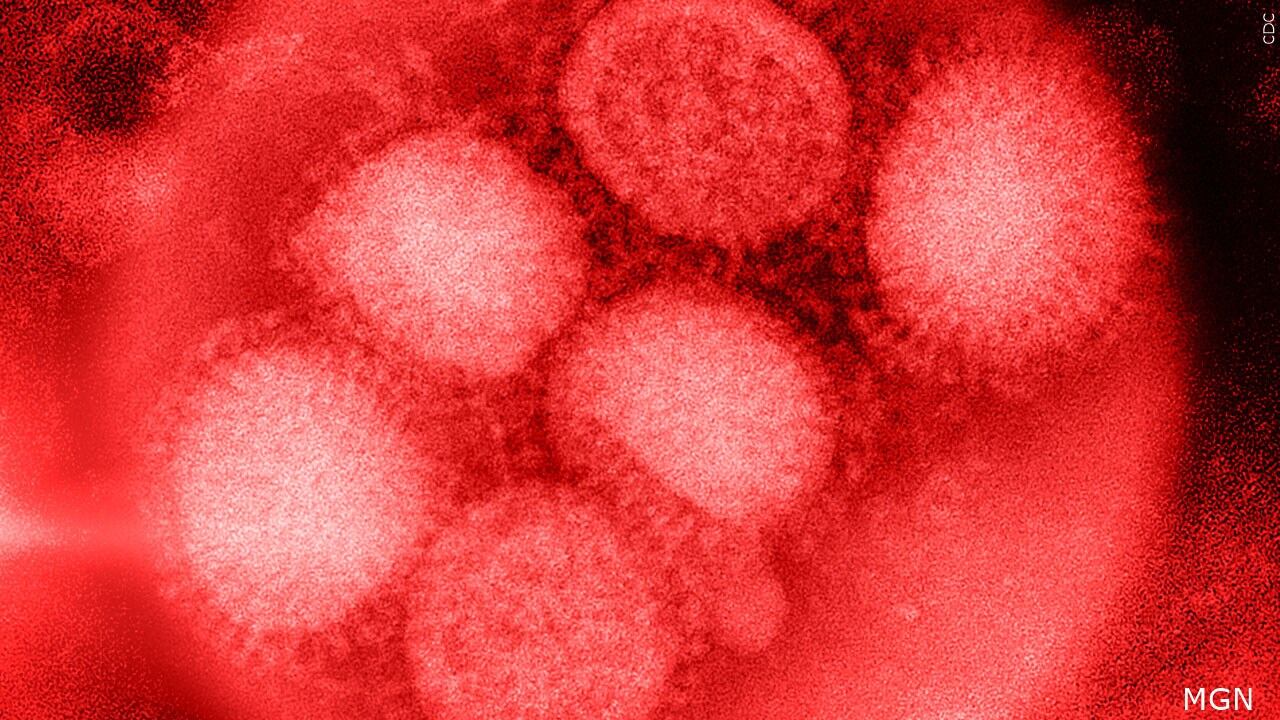 Brentwood School To Close Thursday And Friday Amid Rise In Flu Cases
