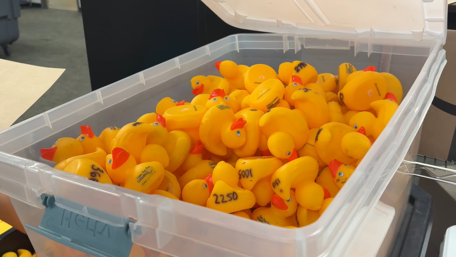 YMCA Duck Dash Fundraiser Grows Amid Rising Need for Children’s Beds