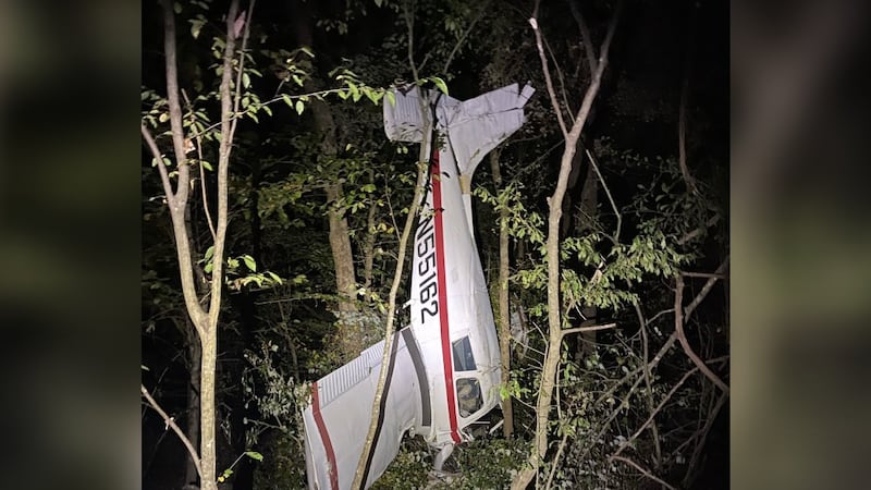 A small private plane went down overnight off Tara Beech Lane in Hampton.