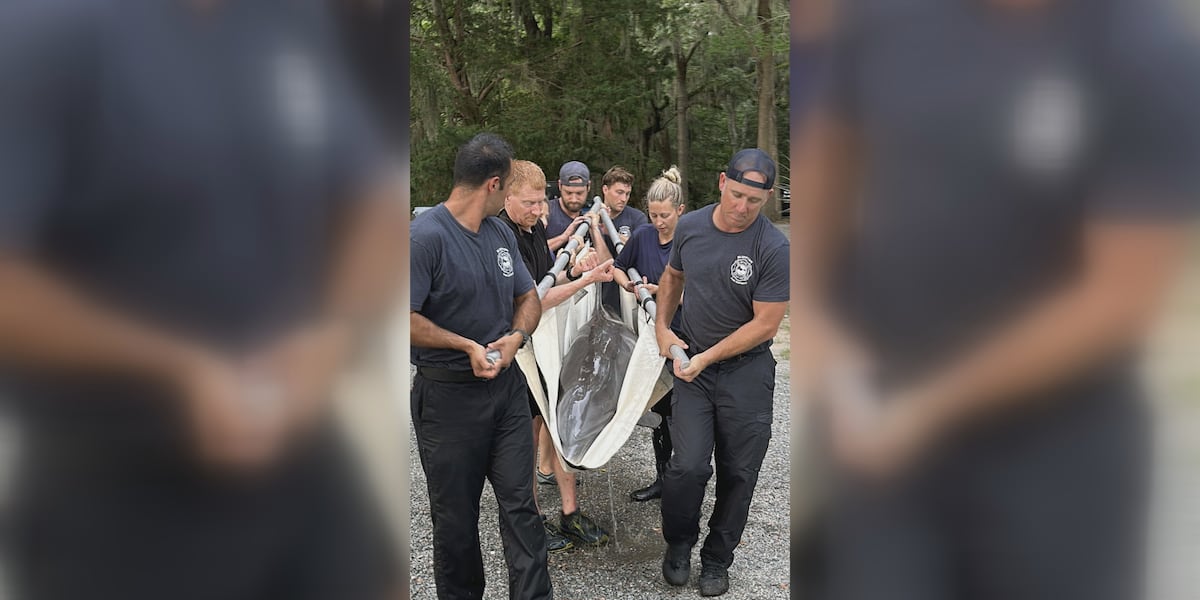 Dolphin named Lucky rescued from South Carolina lagoon