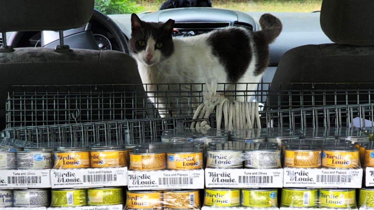 A semi-truck delivered the donation to the SPCA’s facility in Aiken, and local rescue groups...