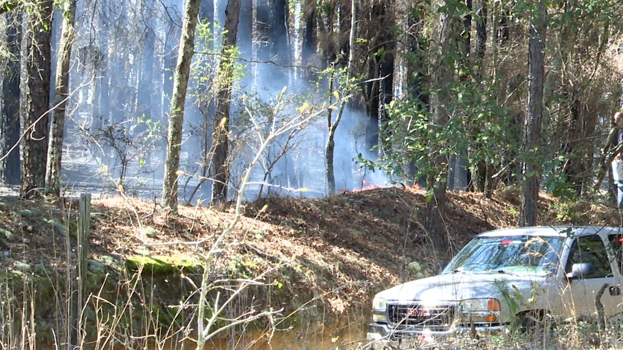 Brush fires in Aiken County