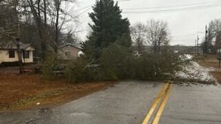 Here's a look at some of the damage in Washington County, Ga., after a Jan. 4, 2023, storm.