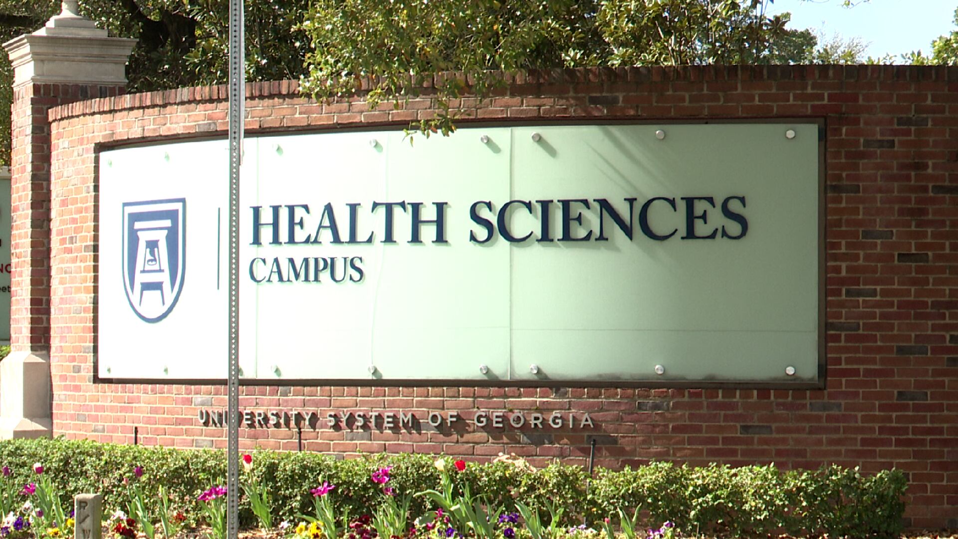 Augusta University Health Sciences