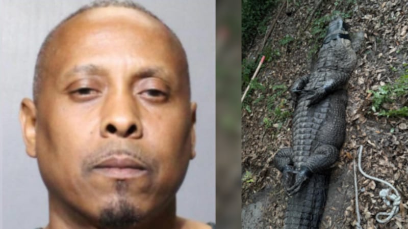 A drug bust in Florida yielding far more than just illegal substances.