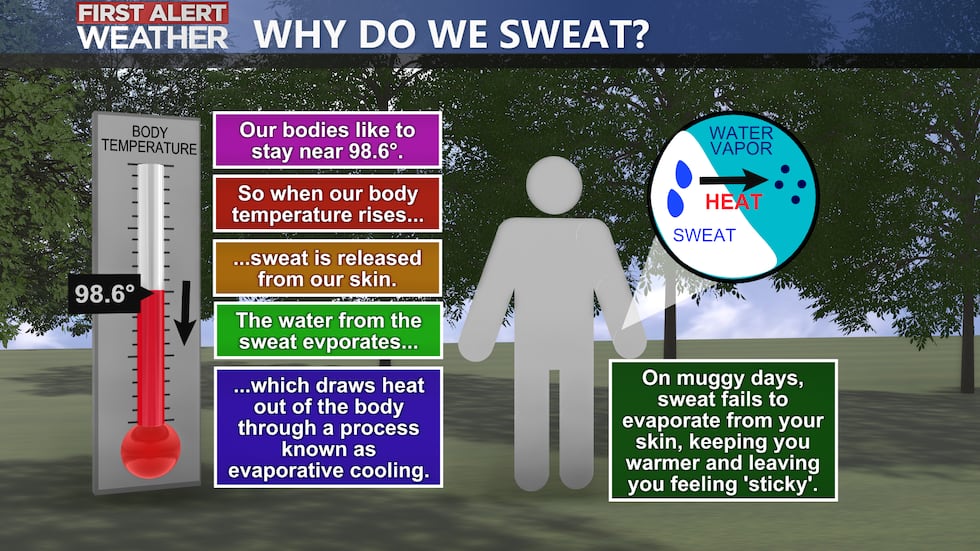 Heat Safety Week
