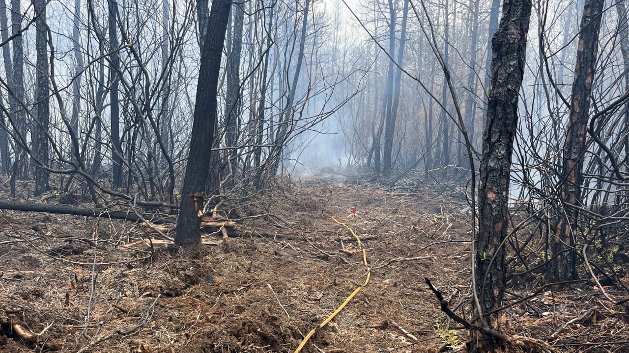 Officials address smoke still seen from Carolina Forest wildfire
