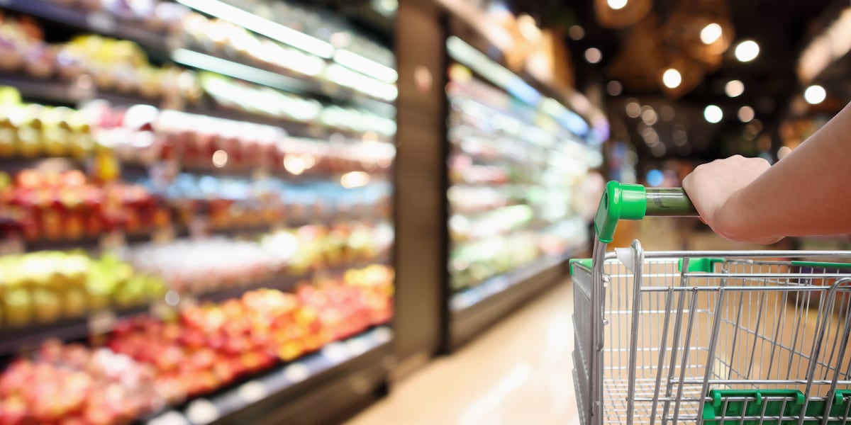 Ga., S.C. Democrats call for more state action to ease SNAP shutoff