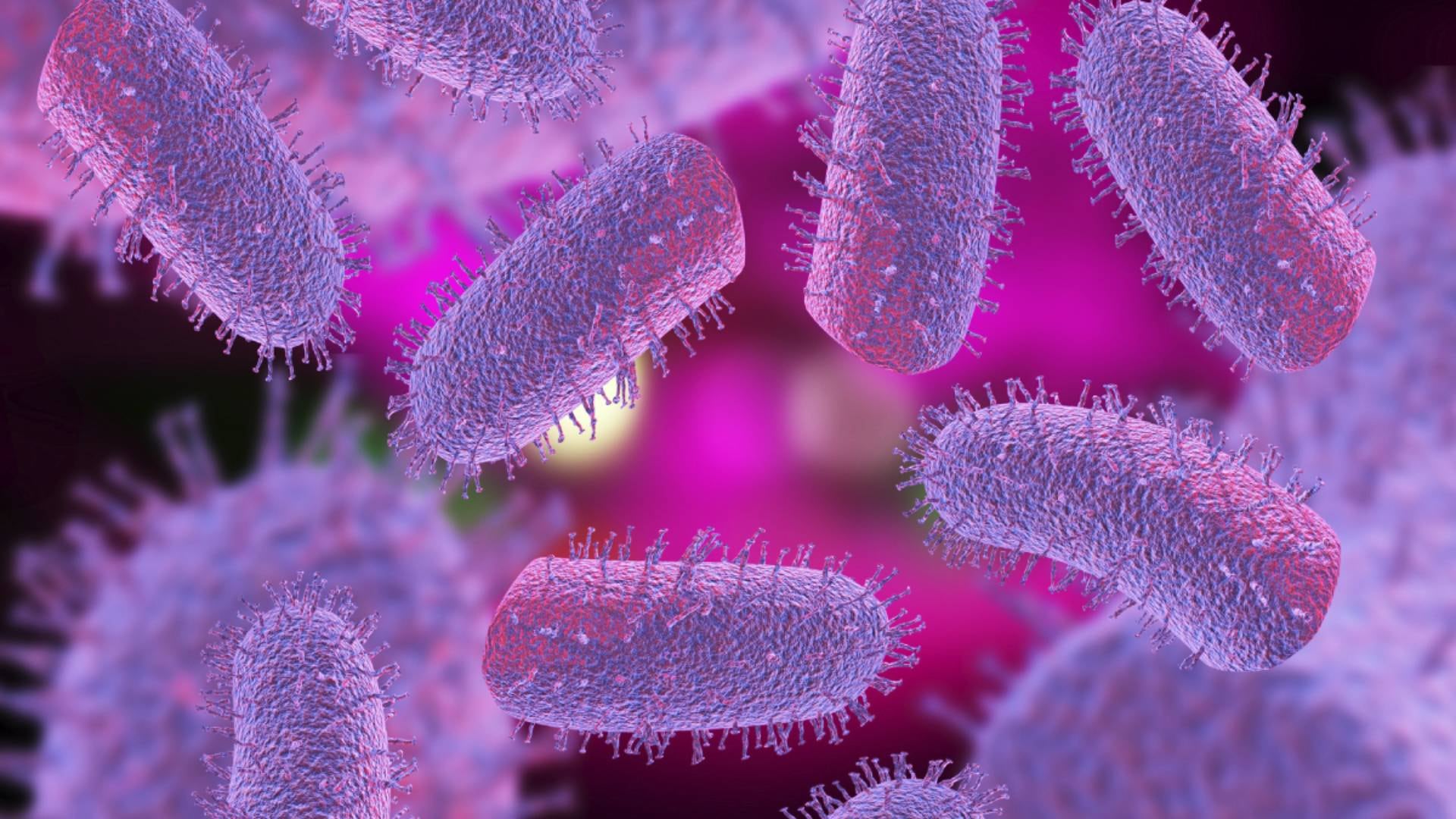 Rabies virus