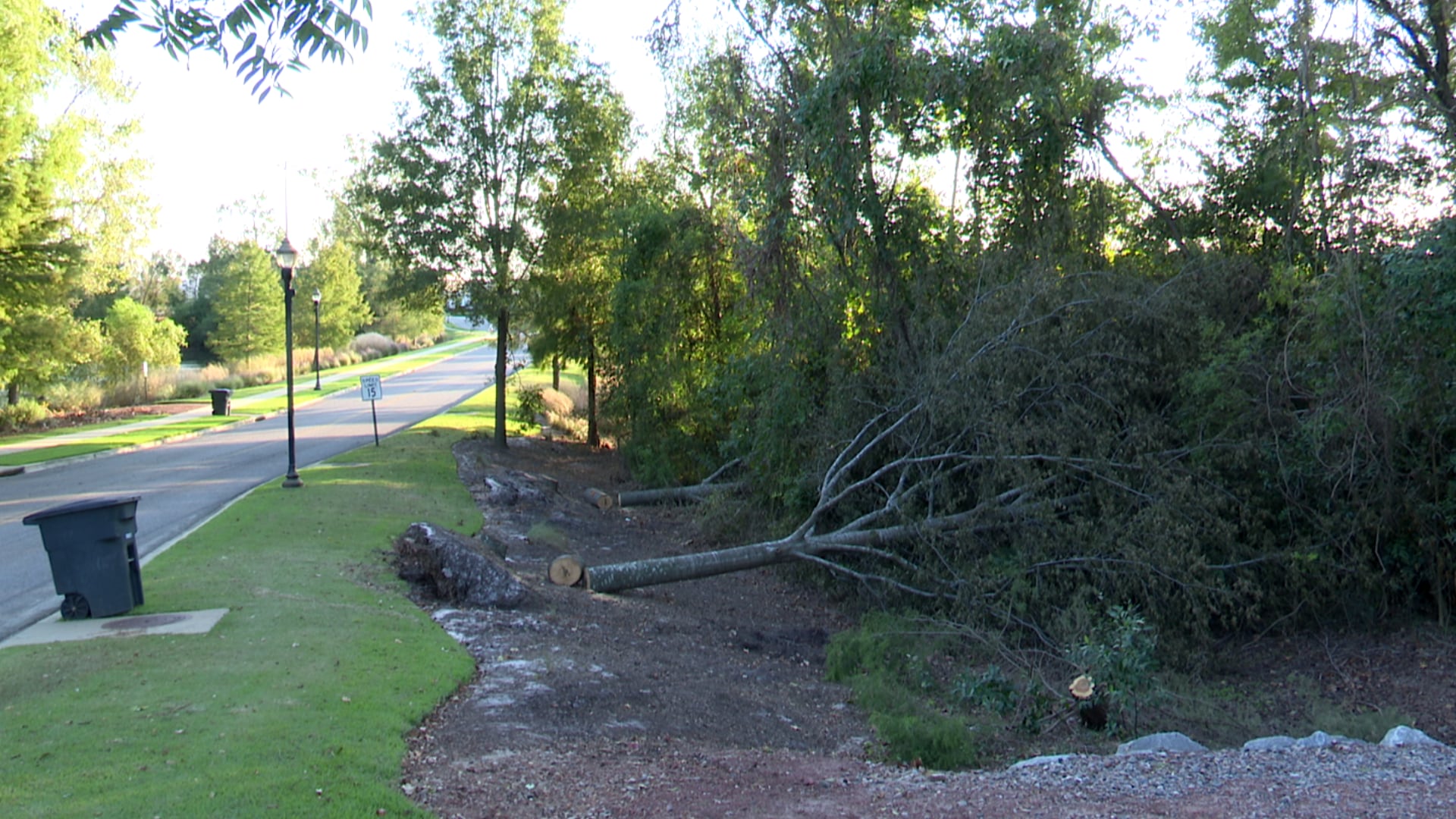 Aiken County debris