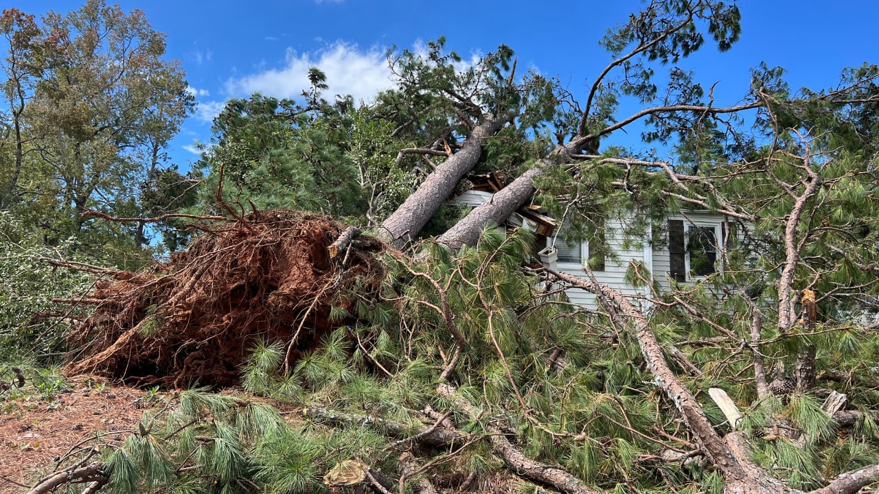 Trees fall on homes in CSRA after Hurricane Helene