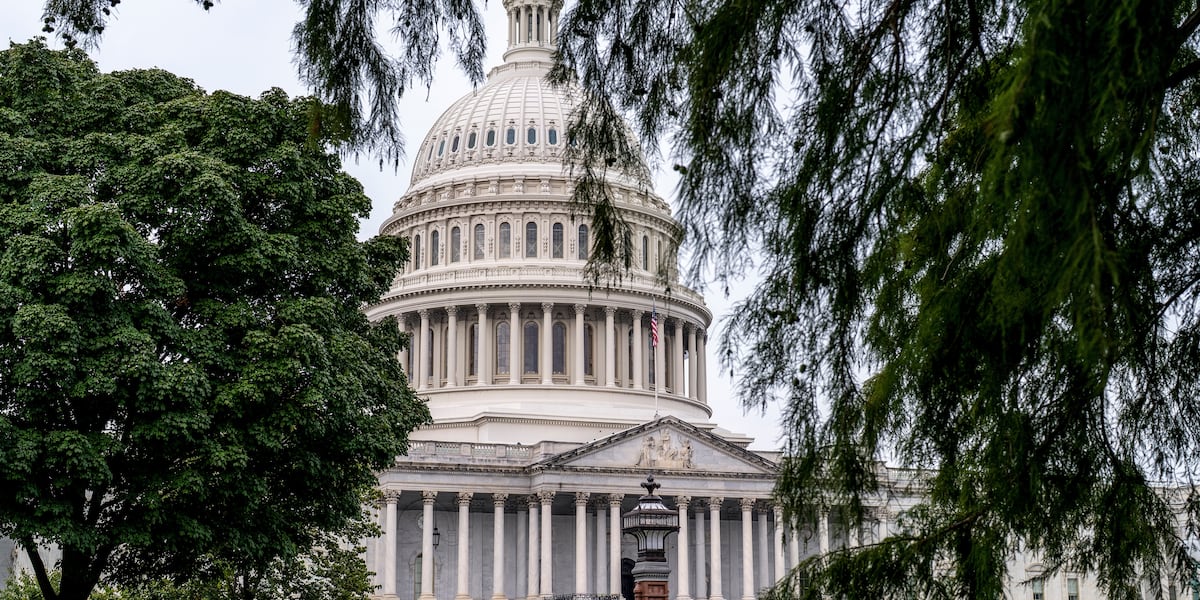 What will happen in Georgia, South Carolina as government shuts down?