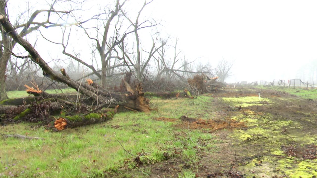 Georgia farm