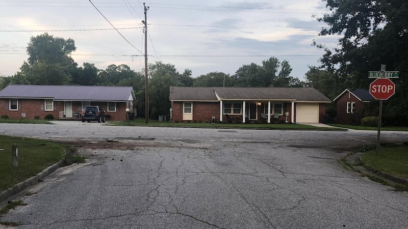 Deputies say Brown lost control of the vehicle on the 2500 block of Blueberry Drive, striking...