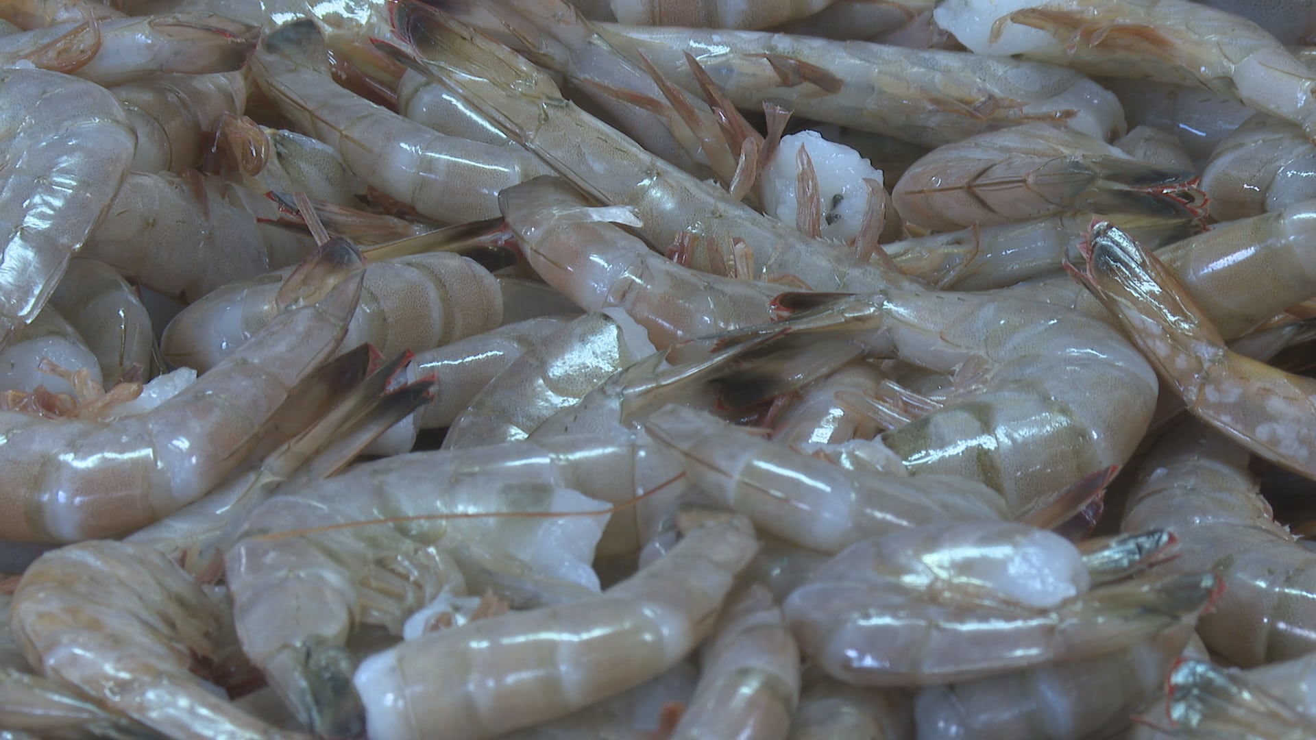 Most of the restaurants sampled in the Wilmington area didn't offer local shrimp.