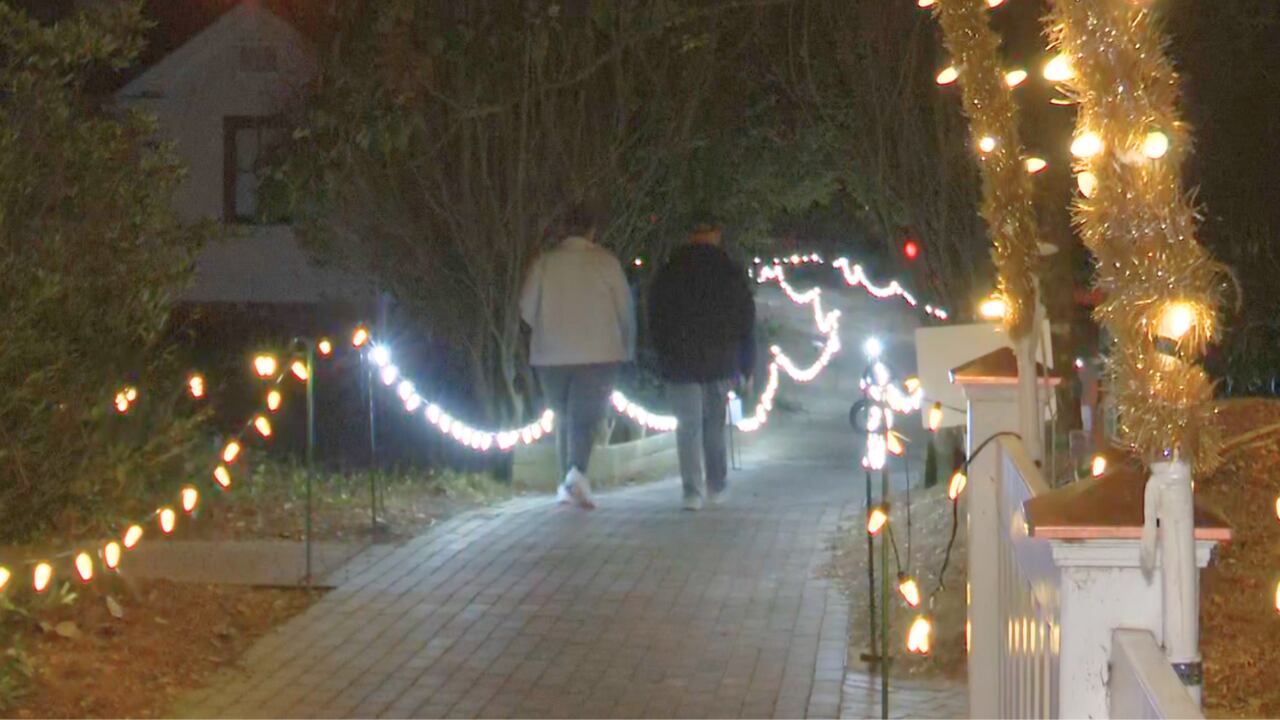 Christmas at Hopeland Gardens