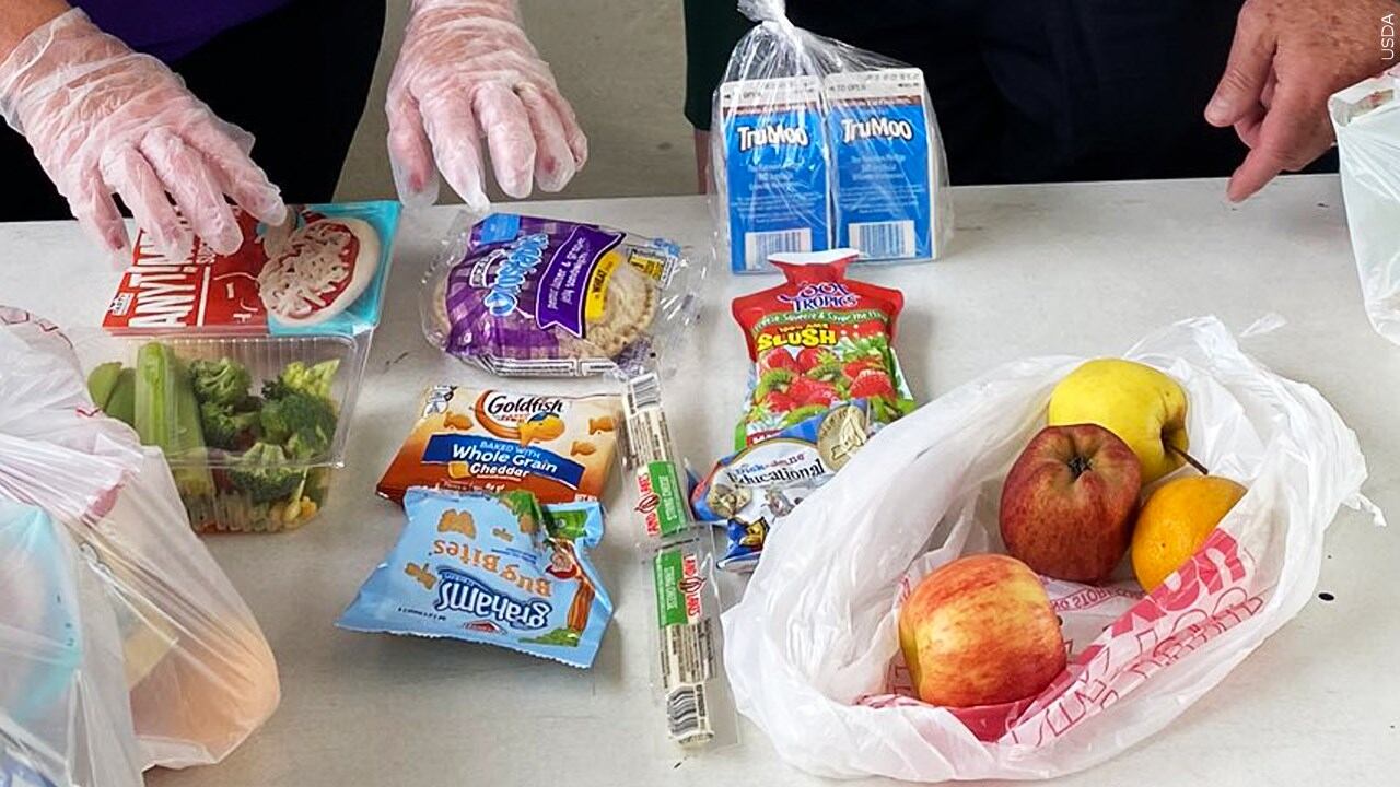 Agriculture Sonny Perdue hands out summer meals to families in Cartersville, Ga.