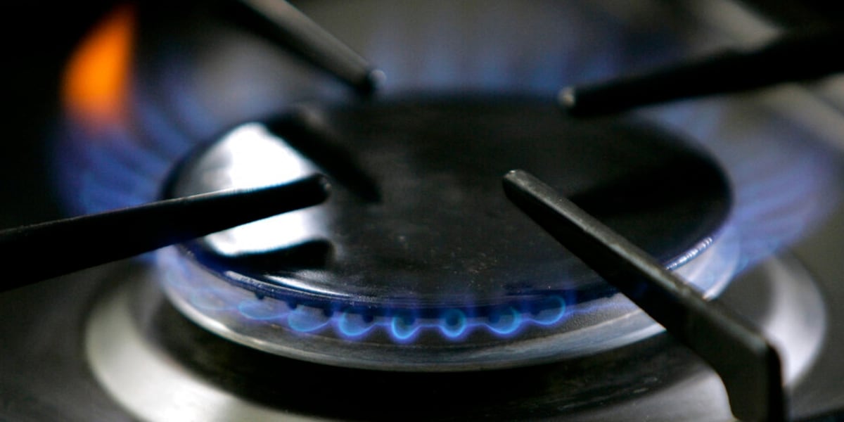 Ga. utility regulators release $5M to help low-income customers