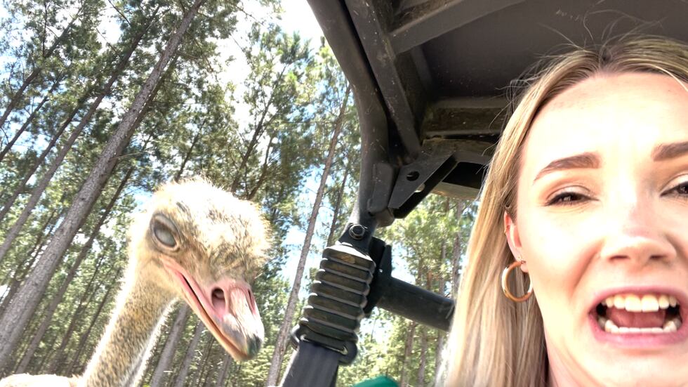 News 12's Kennedy Payne with Larry the Ostrich