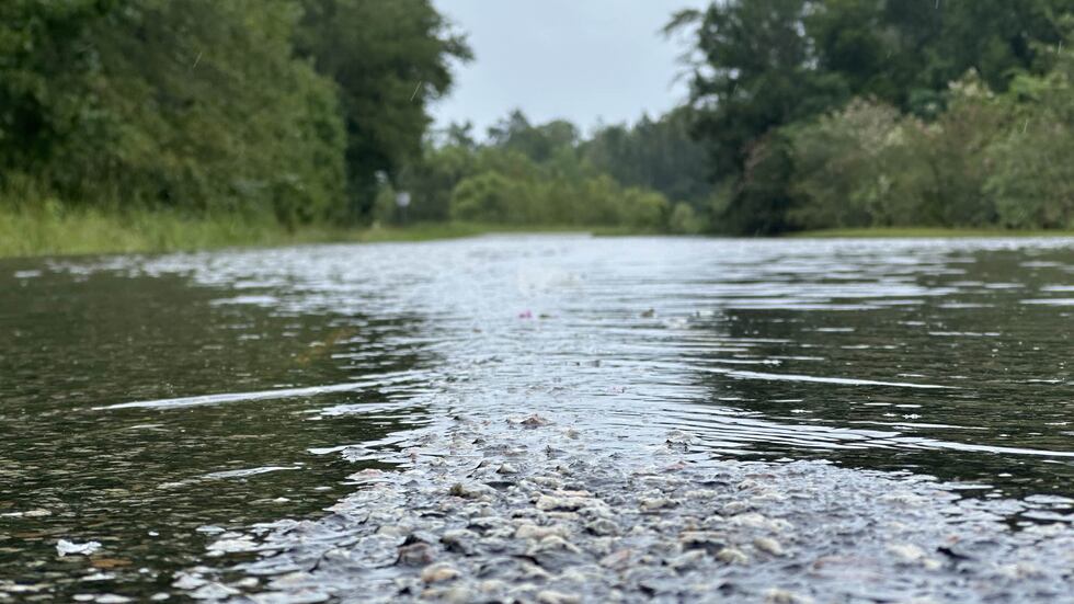 By Wednesday afternoon, Halcyondale Road in Screven County had been flooded for about 24 hours.