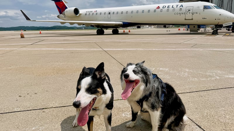 Ned and Hercules are seen Thursday, May 15, 2025, at West Virginia International Yeager...