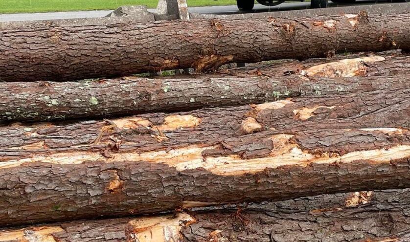 log truck crash