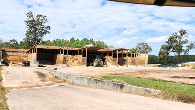 Hillcrest Farms after Hurricane Helene