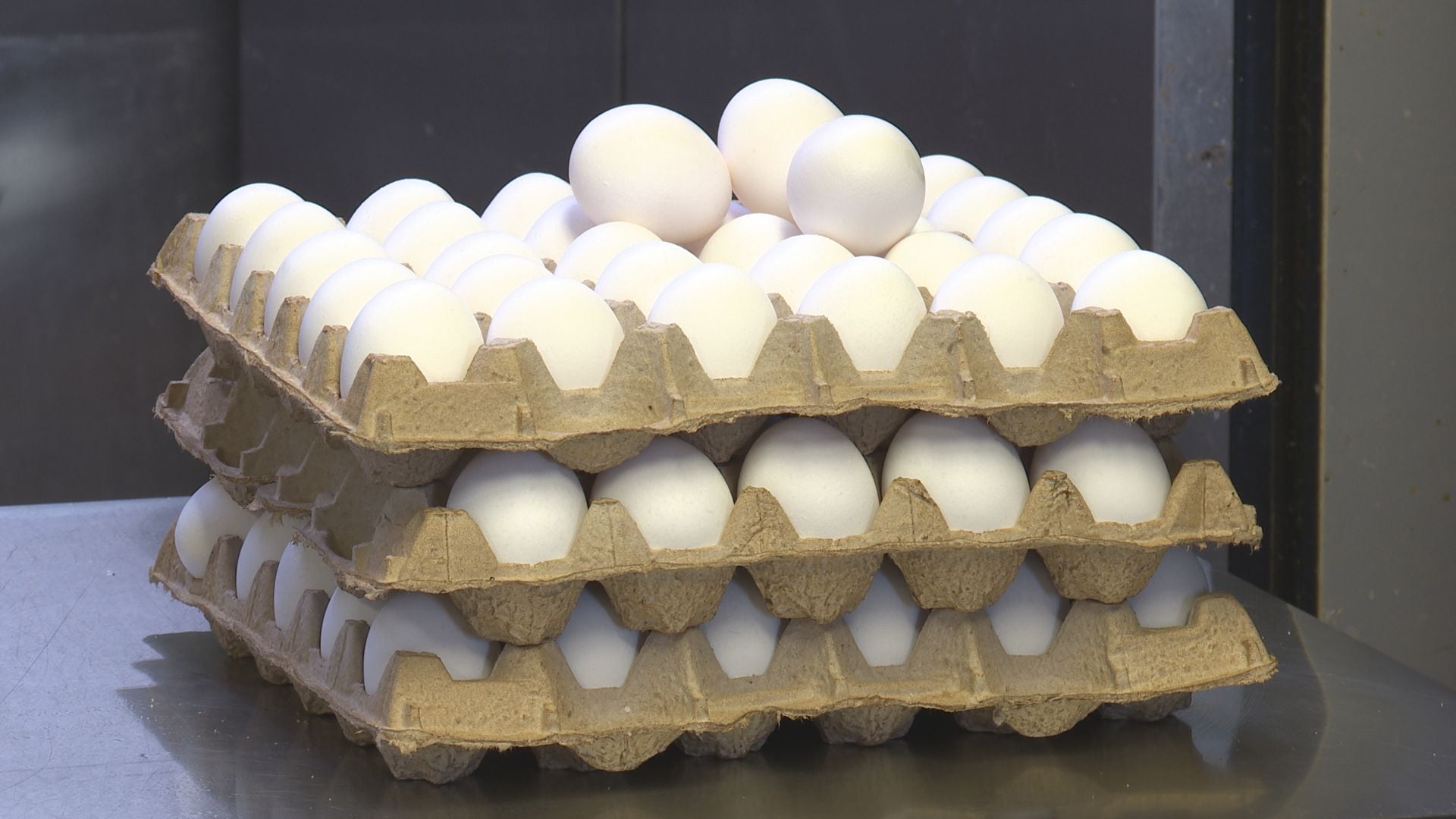 Egg prices impact Wausau local Kreger's Bakery.