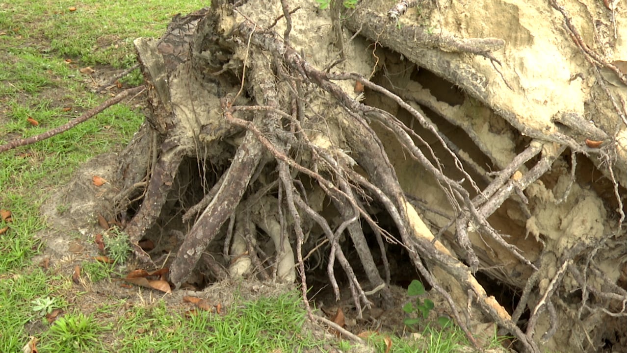 Hurricane Helene damage