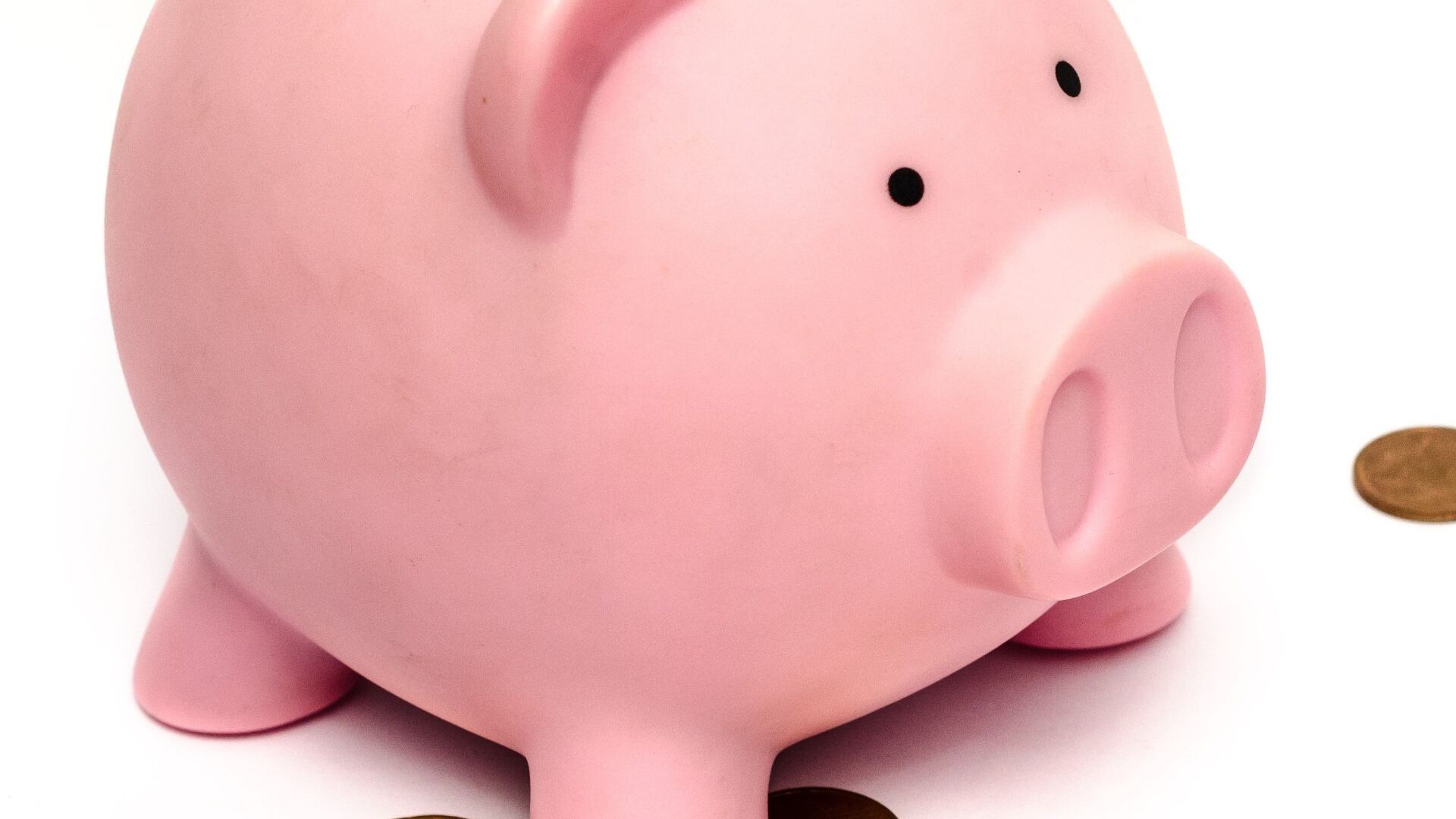 PIGGY BANK