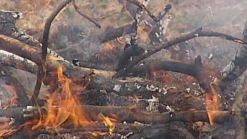 Burn ban