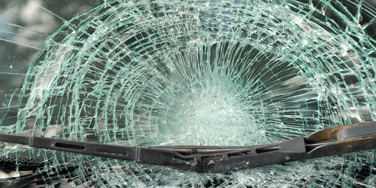 Driver accused of fleeing before deadly Saluda County crash