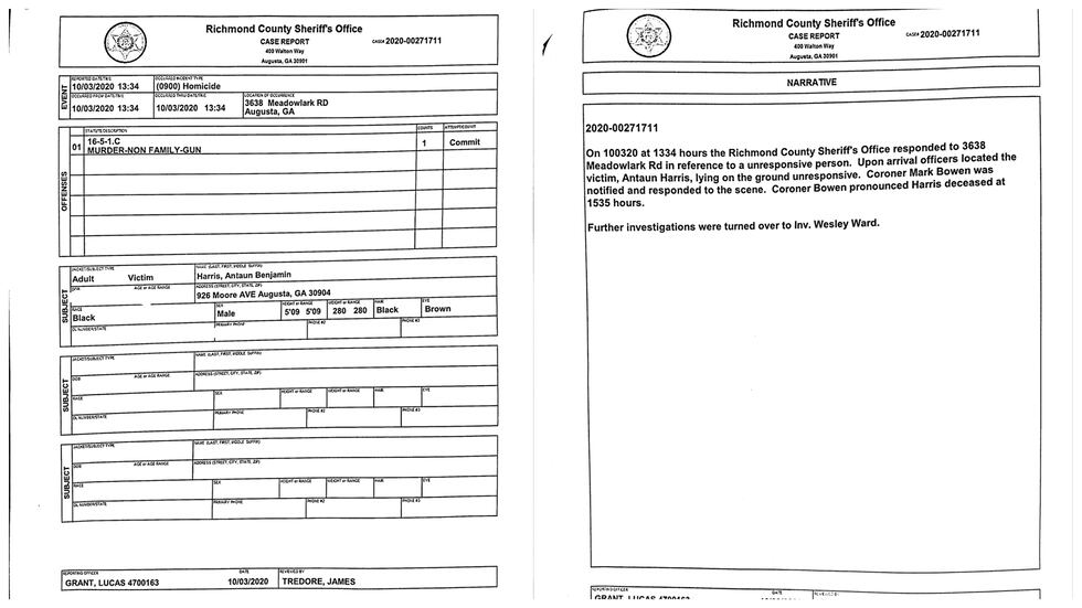 This is the case report on the Meadowbrook Park incident.