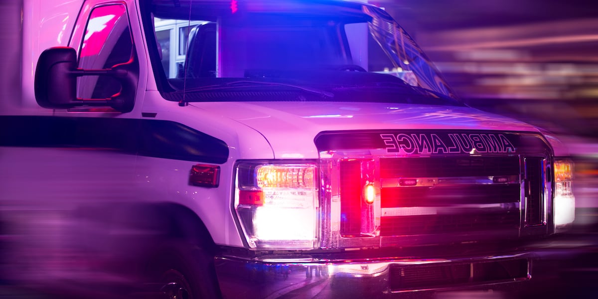 23-year-old killed after being struck by vehicle on Deans Bridge Road 23-year-old killed after being struck by vehicle on Deans Bridge Road