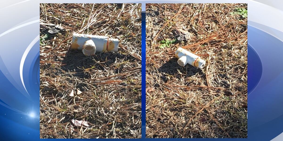 Ellenton Riot New Ellenton family recalls finding explosive device in front yard