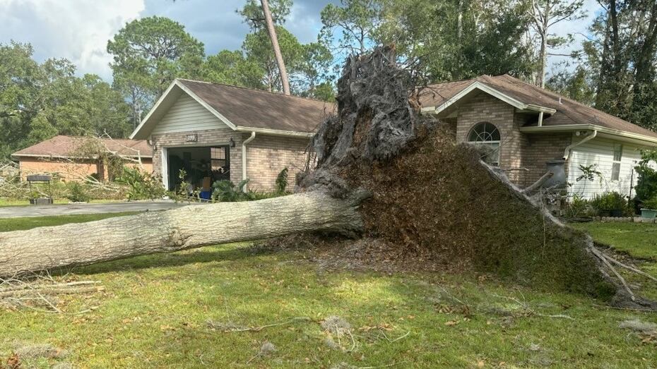 Olga Ramirez, a homeowner in Lake City, said she had 5 trees fall onto her property.