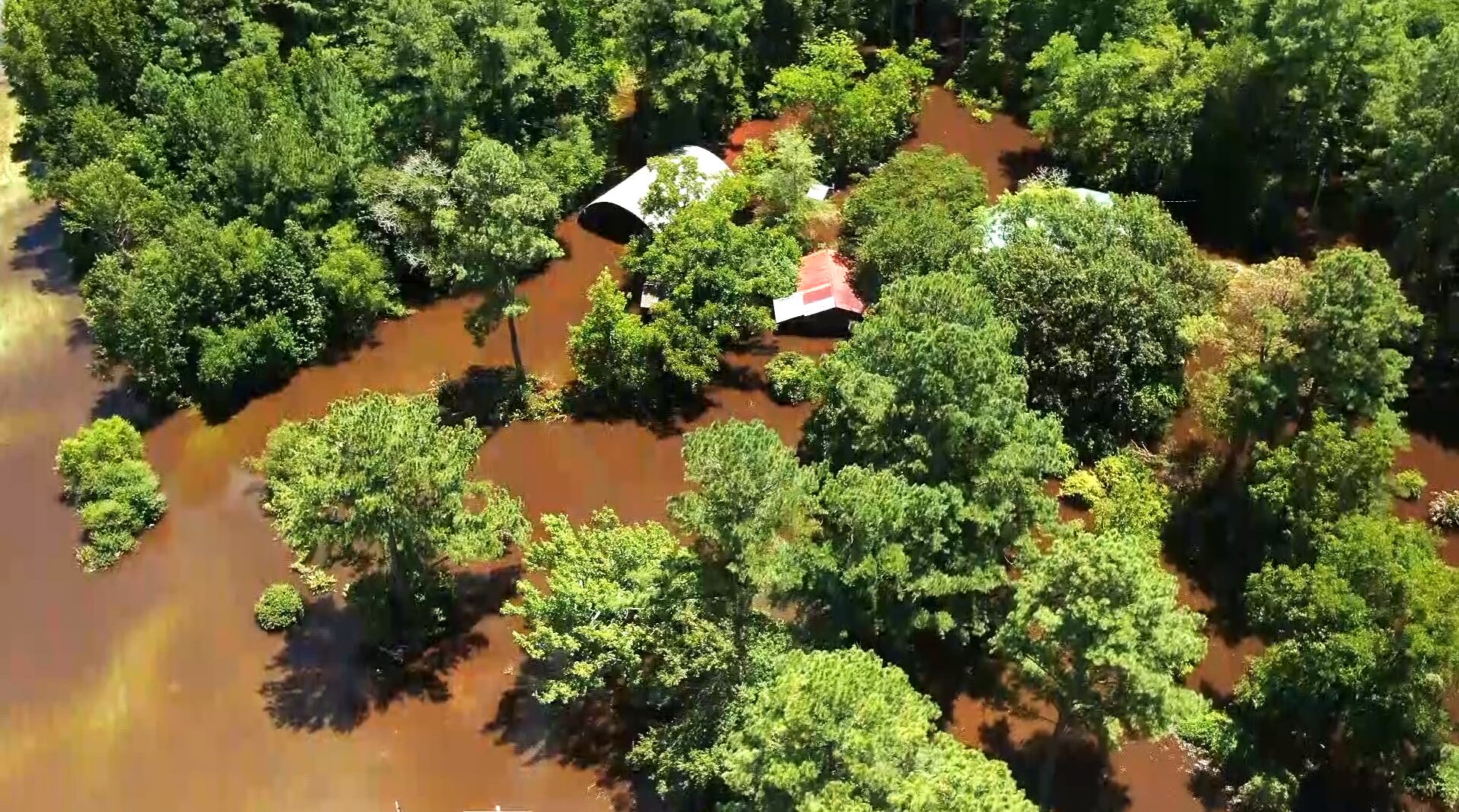 Flooding was rampant along Union Church Road in Screven County on Aug. 8, 2024.