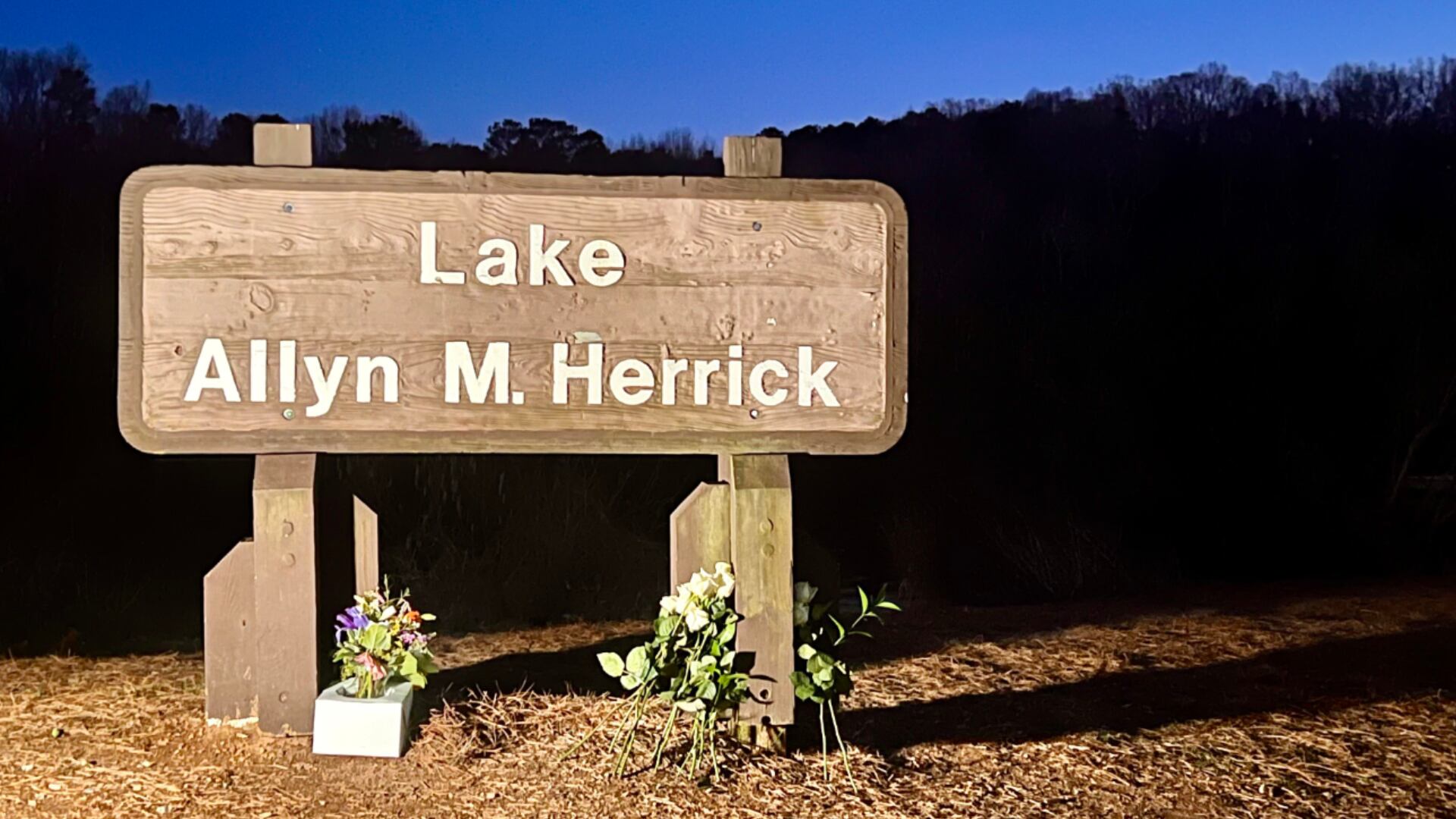Flowers at Lake Herrick