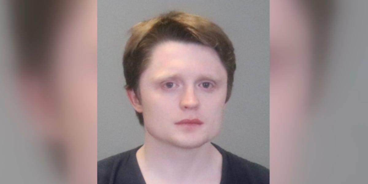 Ga. politician is among 19 arrested in human trafficking sting