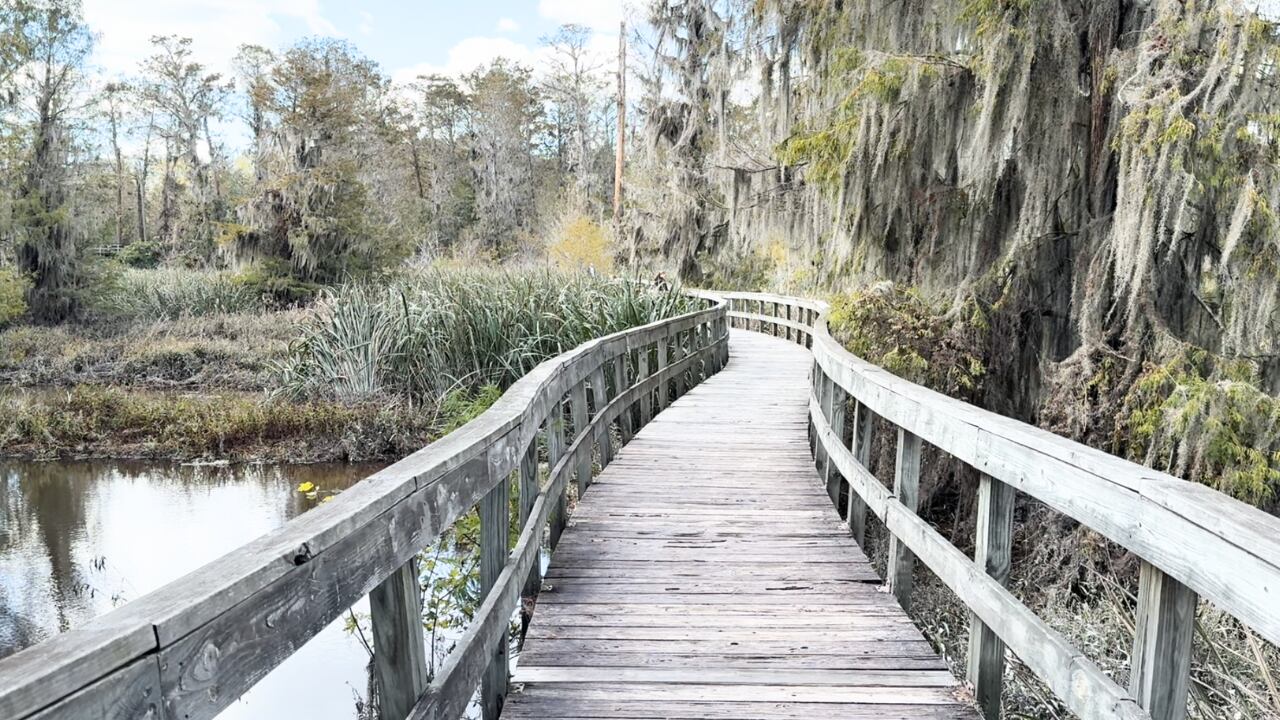 Phinizy Swamp