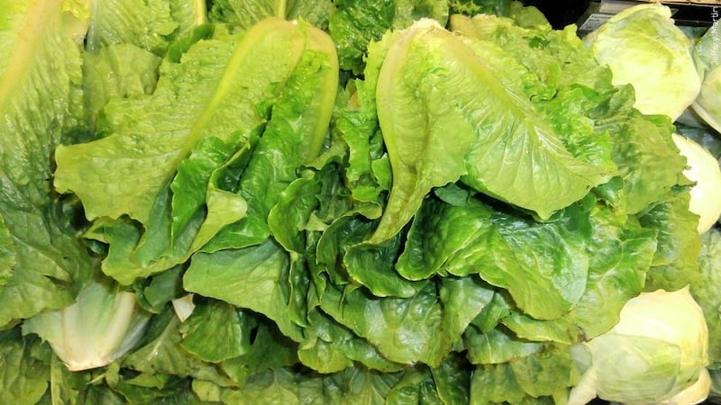 Lettuce