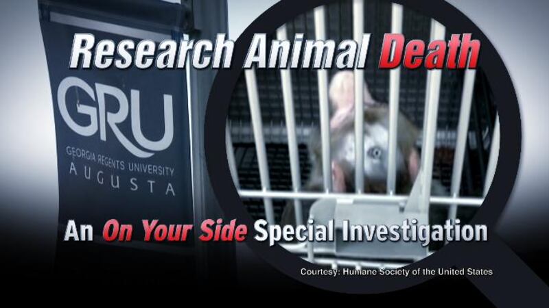 The monkey in this case, Ovetchkin, ed away in the custody of Augusta University. (Source:...