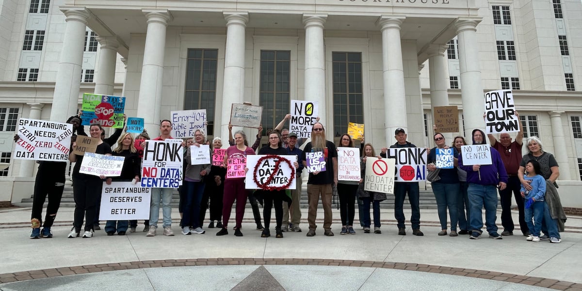 ‘AI is anti-human’: S.C. protesters express concerns on data centers