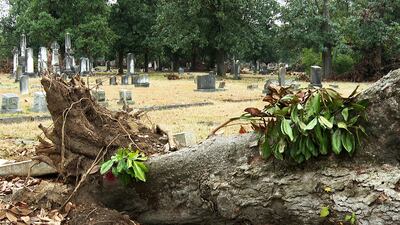 Augusta Helene debris