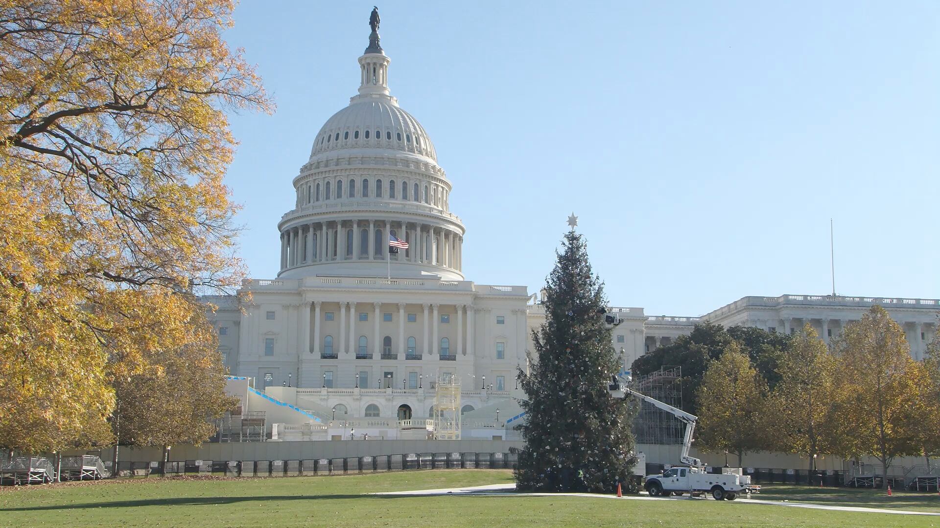 The "People's Tree" from Alaska stands in front of the U.S. Capitol Building