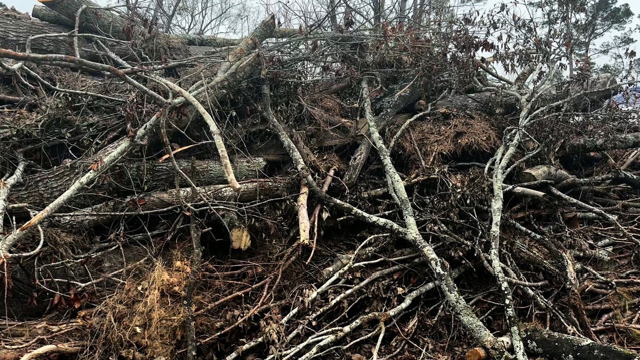 Hurricane Helene debris cleanup