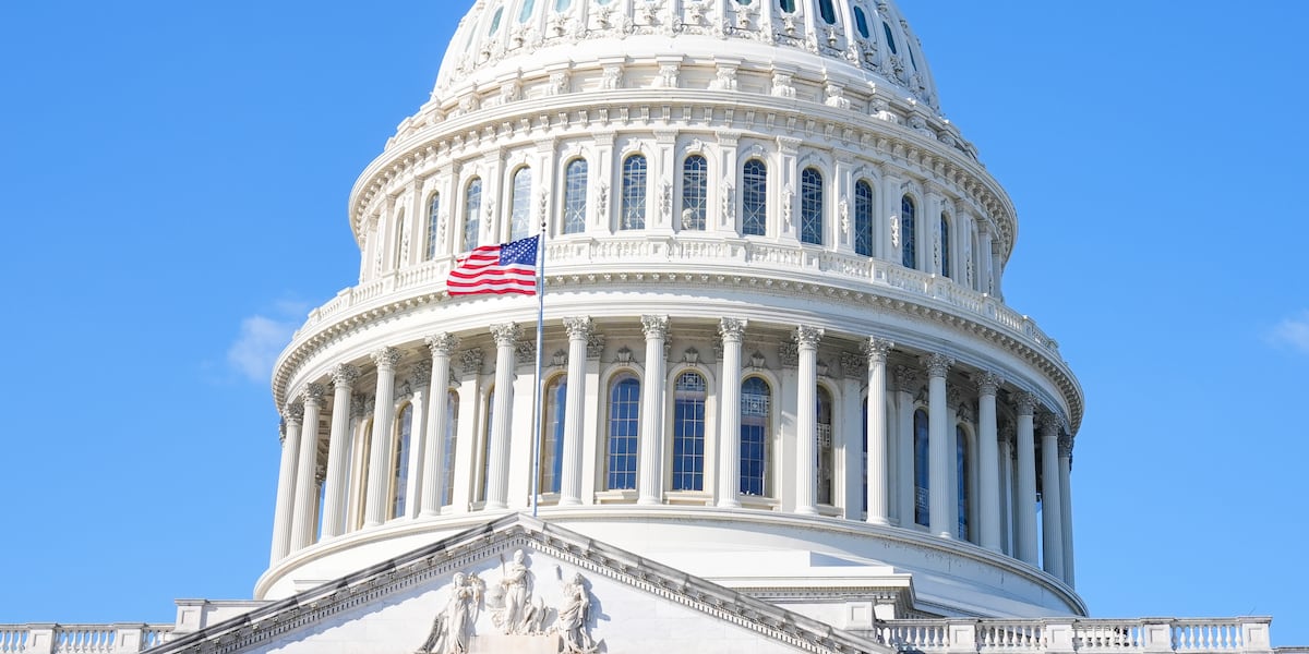 Contenders prepare to battle again in Senate primary runoff