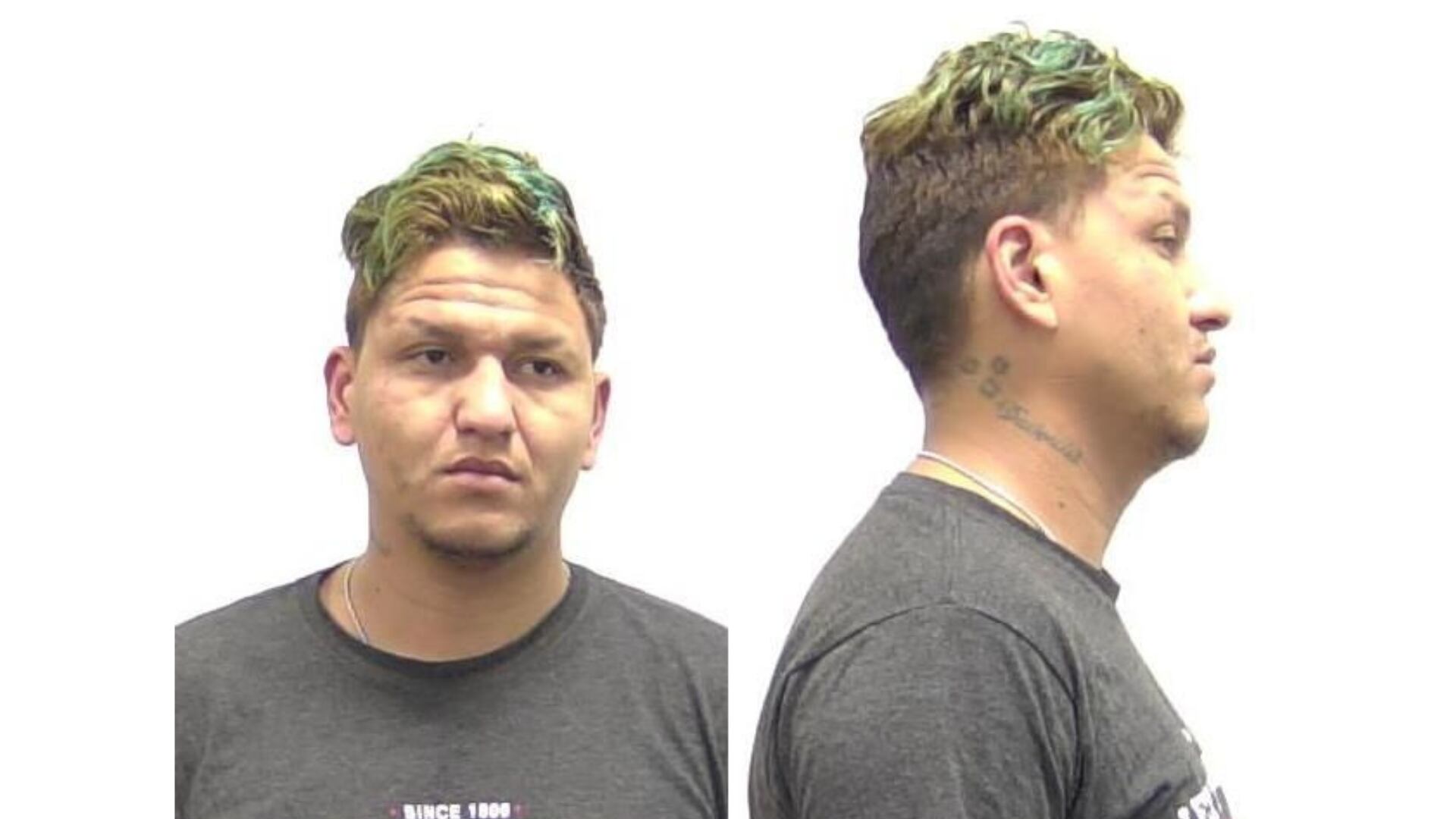 Diego Ibarra