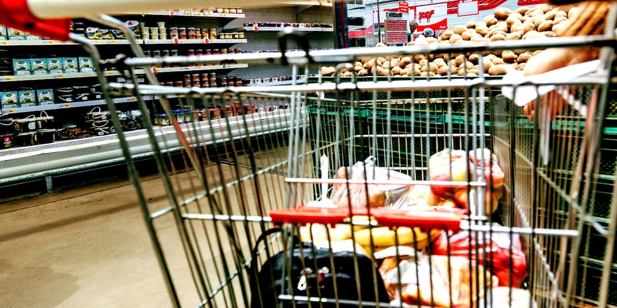 ‘It’s scary’: Ga., S.C. families brace for SNAP shutoff