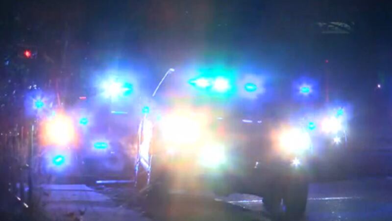 The collision occurred around 10 a.m. on SC-6 near US-301, four miles west of Vance, S.C.